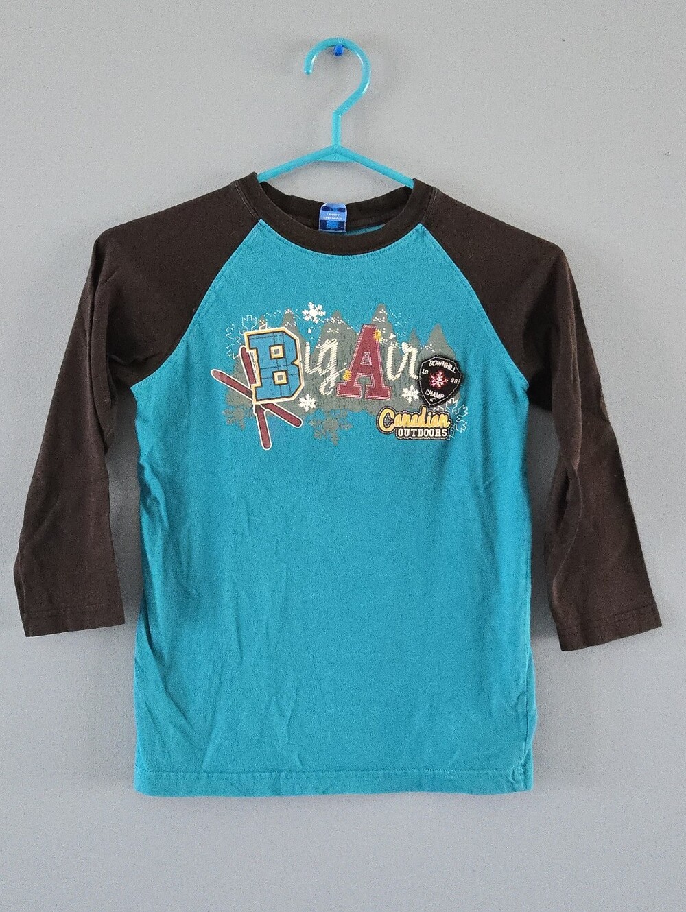 Kids Long Sleeve Raglan Graphic Tee - Teal & Brown